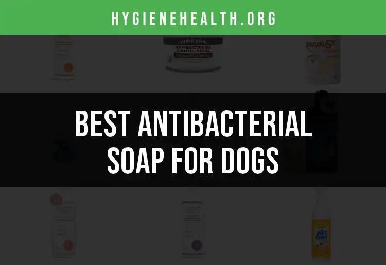 19 Top Antibacterial Soaps for Dogs You Can Trust