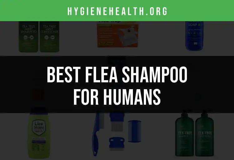 18 Best Flea Shampoo for Humans to Keep You Pest-Free