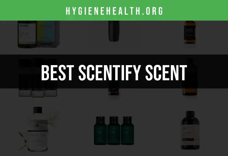 The 13 Best Scentify Scent Options for Fresh Living