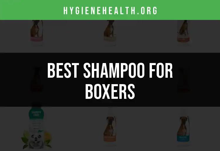 15 Best Shampoos for Boxers to Keep Them Clean and Fresh
