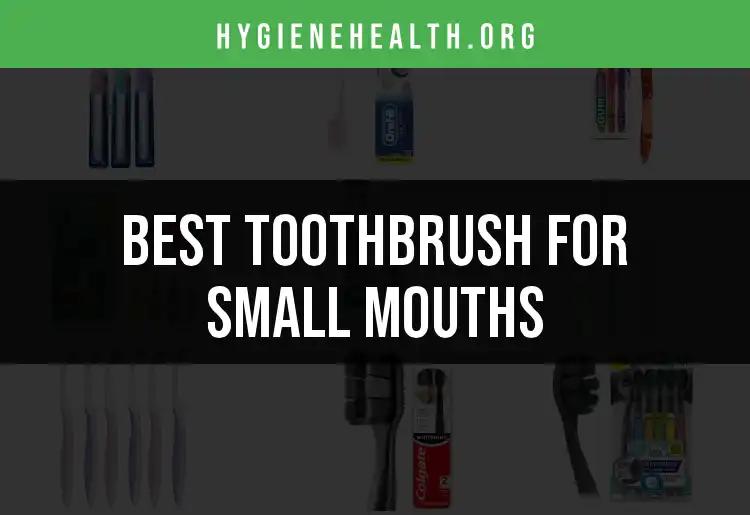 19 Best Toothbrushes for Small Mouths You Must Try