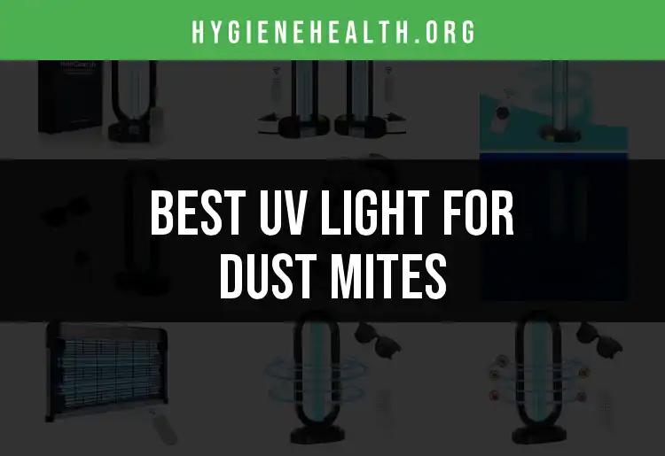 17 Best UV Light Solutions for Dust Mites