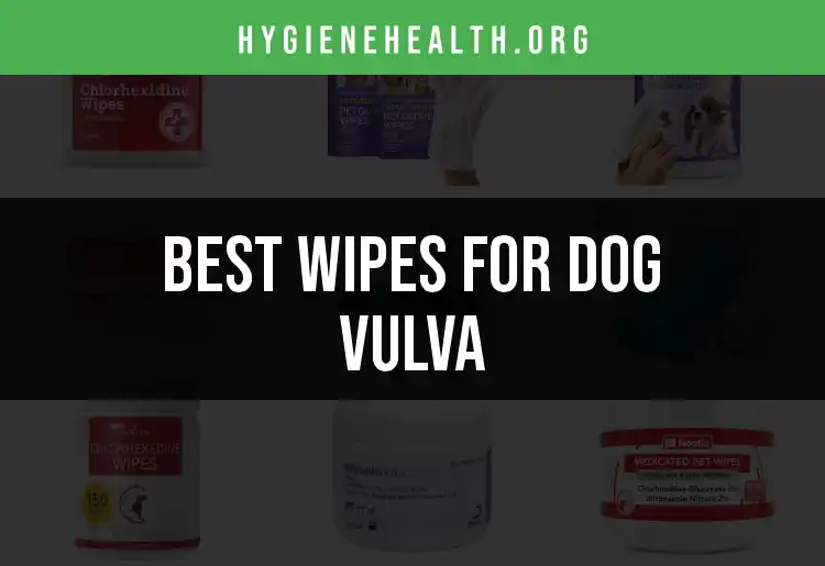 18 Best Wipes For Dog Vulva Quick And Easy Care Solutions